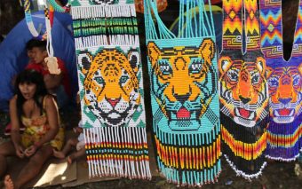 Redação do Enem 2022: Desafios para a valorização de comunidades e povos tradicionais no Brasil