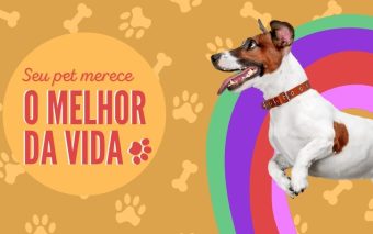 Amor, hipocrisia ou ausência de bom senso?
