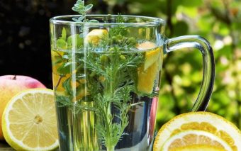 Saúde e Bem Estar: Modos de preparar a planta medicinal