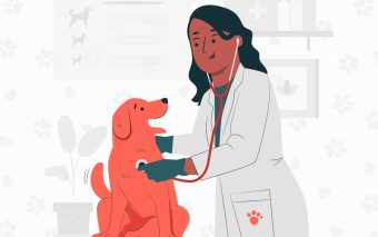 Jornal Fala Regional – ANO I – Nº 08 – Caieiras Agora tem UBS Veterinária