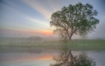 5 mil sementes representam nova fase do Hospital Anjo Gabriel em Mairiporã
