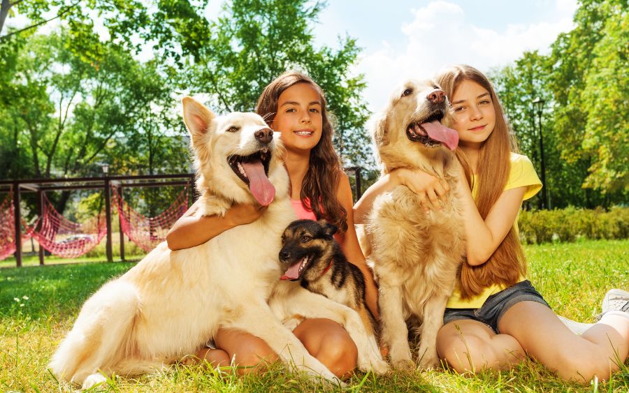 Quando adotamos um animal, desenvolvemos um vínculo profundo com ele e com o que o representa. (Foto: reprodução) 