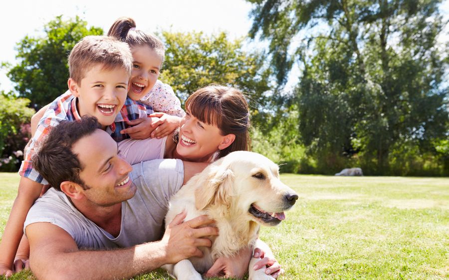 Como um membro da familia, seu pet merece todo carinho e respeito do local que cuidará dele durante sua ausência. (Foto: Reprodução)