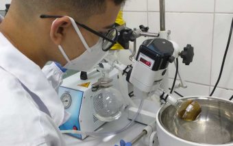 Estudante faz descoberta que ajuda no combate ao mosquito da dengue