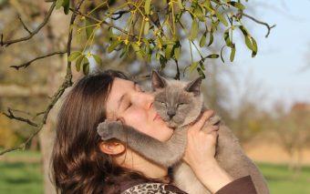 14 de março: Dia dos Animais em Mairiporã