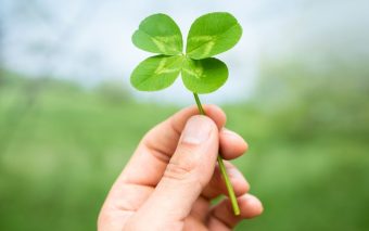 Resultado da Mega Sena 2577 é divulgado