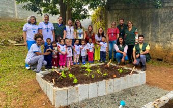 Agricultura urbana: uma solução sustentável para a alimentação nas escolas públicas?