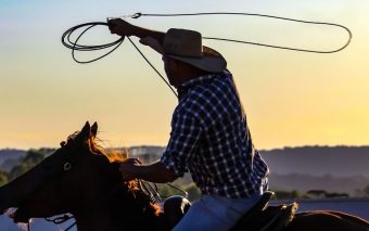 Confira a programação de shows da 31ª Festa do Peão de Boiadeiro de Cajamar
