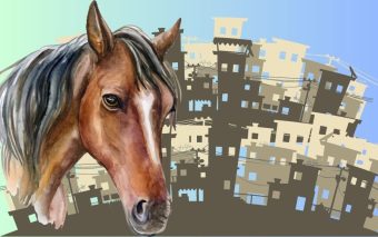 Cavalo solto nas ruas de Francisco Morato é alvejado durante a madrugada