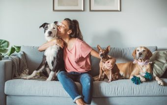 Proteja seu pet sem comprometer seu bolso: Grupo Petlove oferece planos de saúde acessíveis em Jundiaí