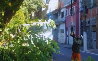 Equipe especializada realiza ação de poda de árvores em Perus