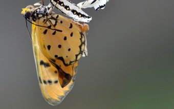 Hospital Fabiano de Cristo: Ressignificar é necessário