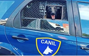 Guarda Civil Municipal de Caieiras realiza abordagem e apreensão de entorpecentes em patrulhamento pelo bairro de Laranjeira