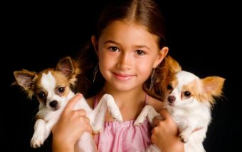 Tendência empresarial: PETernidade – A licença dos sonhos para tutores de animais