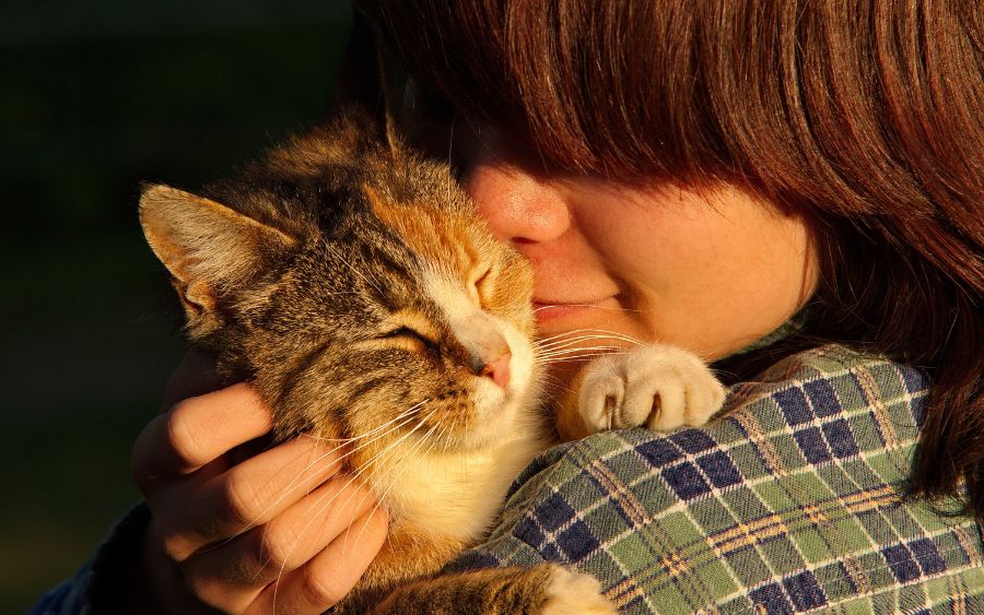 A pandemia impulsionou o interesse por adoção de pets, e empresas inovadoras estão adotando a PETernidade como uma forma de apoiar os tutores e promover o bem-estar animal. (Foto: reprodução)