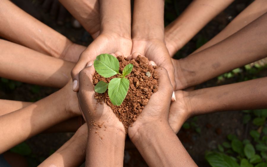 Meio Ambiente, preocupação de fato ou politicagem?