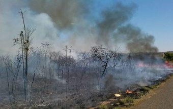 El Niño no Brasil: um alerta urgente para o nosso clima
