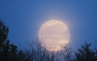 Céu de julho 2023 com fenômenos e lançamentos espaciais, confira!