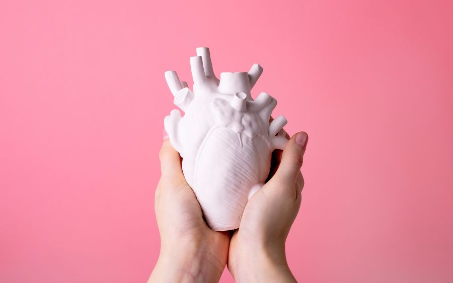 Doação de Órgãos – Uma Chamada Permanente pela Vida