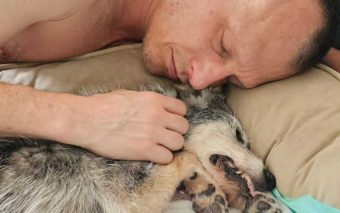 E o mundo pet despede-se de sua primeira influencer