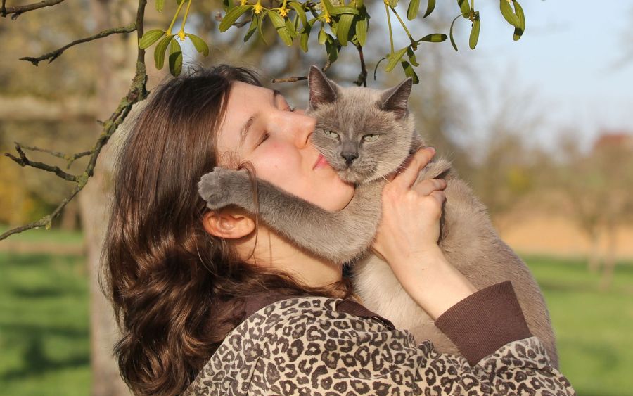 Levar um animal adotado para casa é muito mais do que salvar uma vida; é iniciar uma jornada de amor mútuo, aprendizado e amizades que duram uma vida inteira.