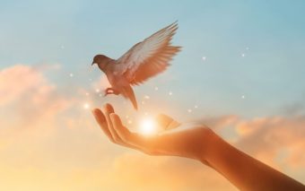 Fabiano de Cristo: A Esperança na Busca de Paz