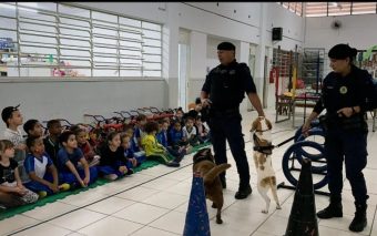 GCM Caieiras: Canil e Seu Compromisso Com a Comunidade Educativa