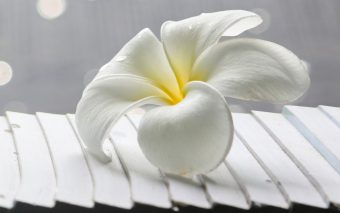 Fabiano de Cristo: A Construção da Paz