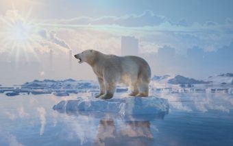 Despertar Verde: Como a Natureza Nos Chama a Lutar Contra o Aquecimento Global