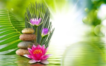 Clínica Madu: Redefinindo o Cuidado com a Saúde através da Medicina Tradicional Chinesa