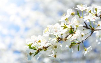 Fabiano de Cristo: Janeiro Branco e Saúde Mental