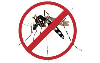 Caieiras Enfrenta Desafio de Saúde Pública com Aumento da População de Mosquitos
