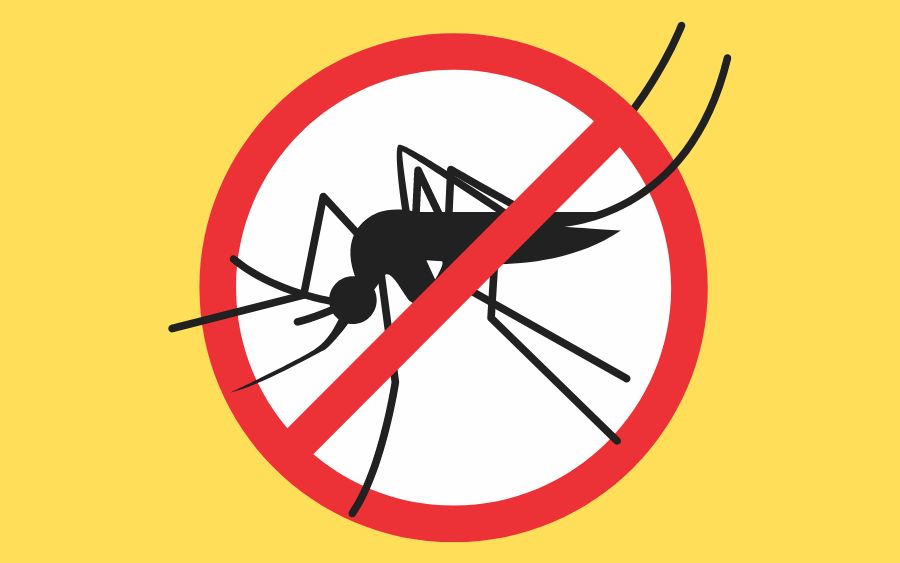 Dengue, Hepatite e Insuficiência Renal