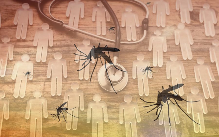 Brasil Enfrenta Aumento de Casos de Dengue e Chikungunya: Medidas Urgentes são Necessárias