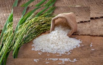 Desmentindo Boatos: Brasil Não Importou Arroz de Plástico Chinês ou Arroz Contaminado do Paquistão