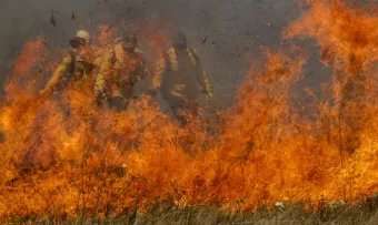 Pantanal enfrenta aumento recorde de queimadas