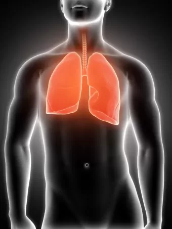 O pulmão de um ex-fumante se regenera? Dr. Drauzio Varella explica