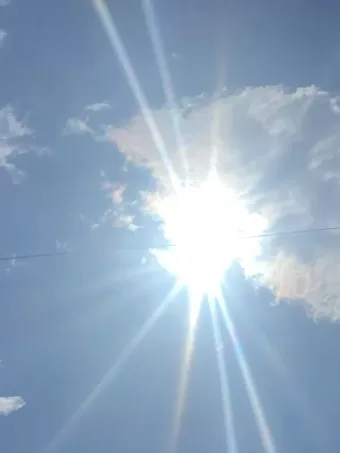 Cientistas revelam que calor extremo já matou milhares na Europa