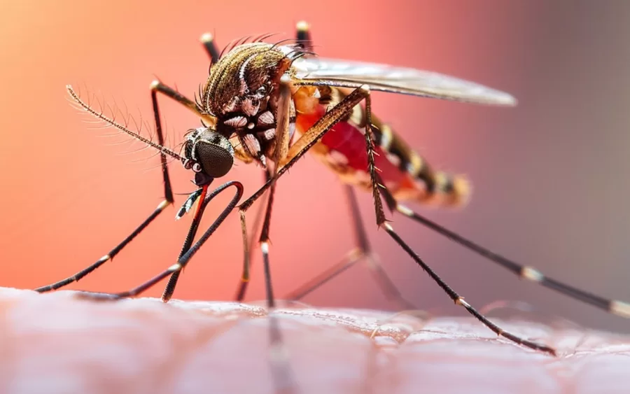 Prefeitura de Osasco realiza drive-thru de vacinação contra a dengue