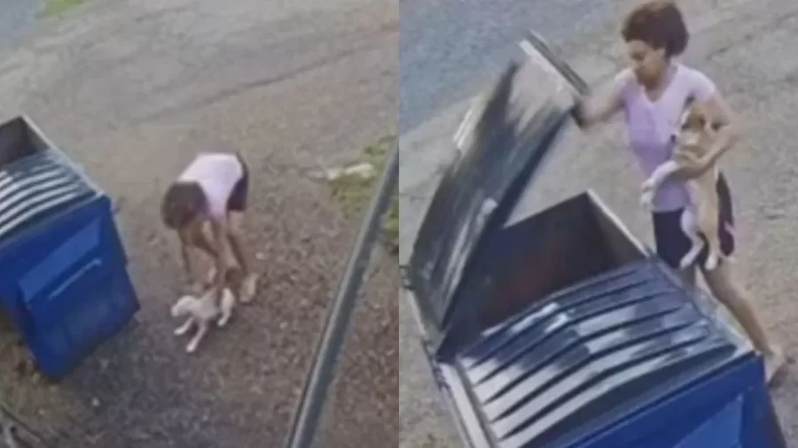 Mulher joga filhotes de cachorro no lixo e acaba presa