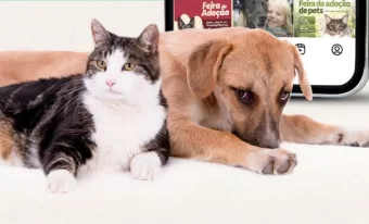 Adota Delivery: Facilitando a Adoção de Cães e gatos em Barueri