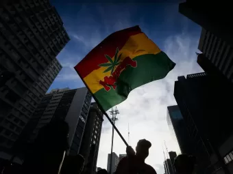 STF Descriminaliza Porte de Maconha: O Que Muda?