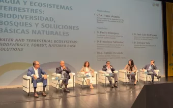 Governo de SP Inova em Sustentabilidade com Parceria da ONU