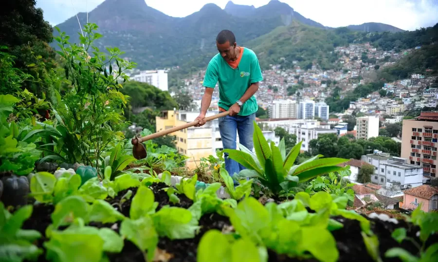 Nova Lei Promove Agricultura Urbana e Periurbana para Estimular Produção de Alimentos nas Cidades