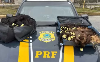 Carro com placa de Caieiras (SP) é apreendido com 50 kg de cabelo humano na Via Dutra