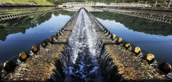 Acesso automático às tarifas sociais e vulneráveis: Nova medida da Sabesp facilita para famílias no CadÚnico