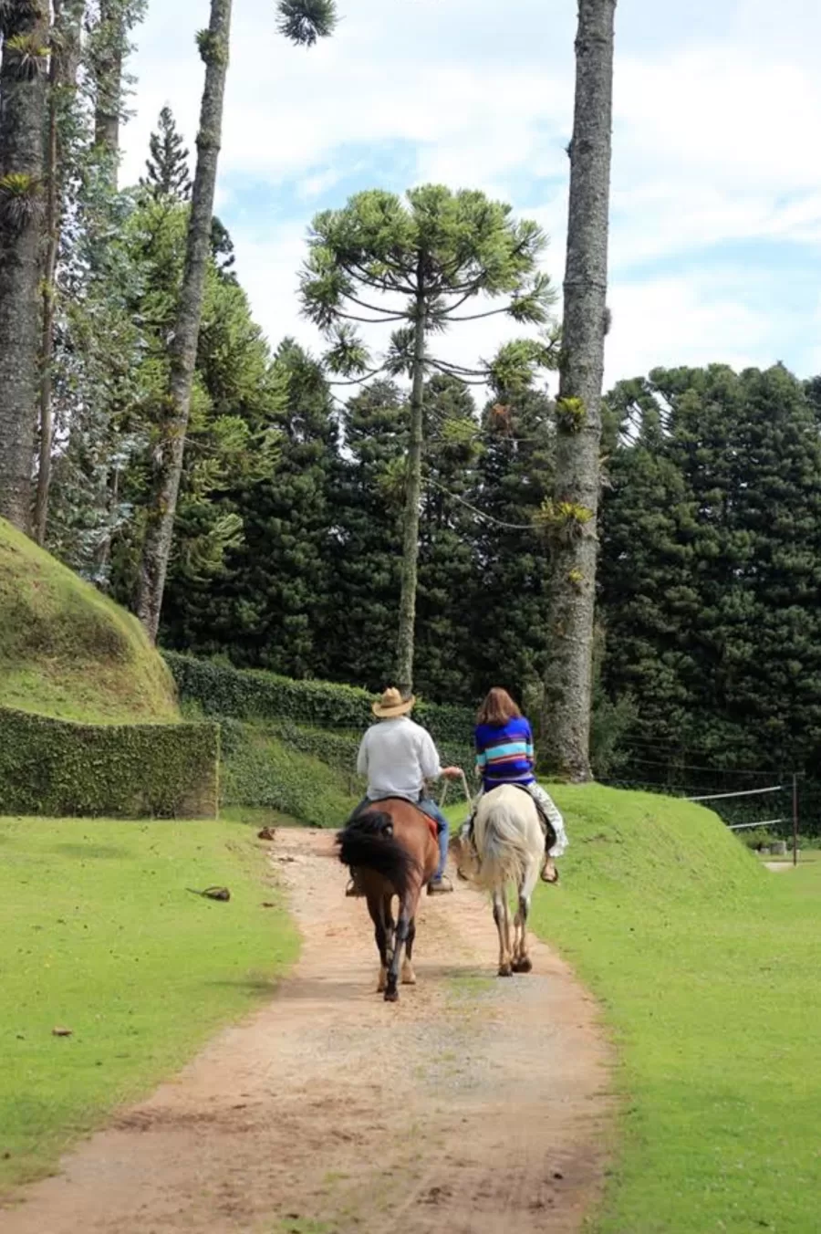 Para quem busca aventura, o hotel oferecerá interação com animais, arvorismo e tirolesa, além de clínicas de tênis e oficinas de beach tênis para aprimorar habilidades esportivas.