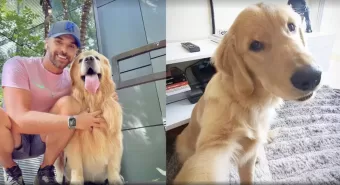 Justiça arquiva investigação sobre a morte do cão Joca em transporte aéreo da Gol