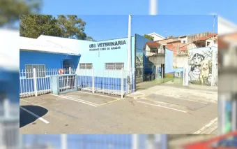 Vacinação gratuita antirrábica gratuita para cães e gatos neste sábado