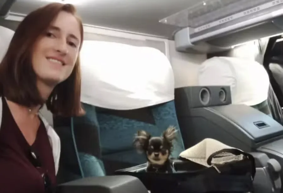 Brasileira morre em acidente trágico na Argentina após viajar com cães para ver a neve